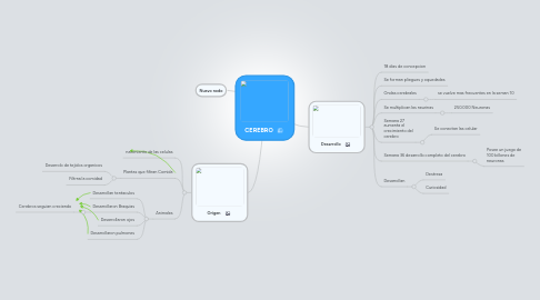 Mind Map: CEREBRO