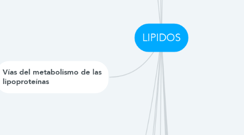 Mind Map: LIPIDOS