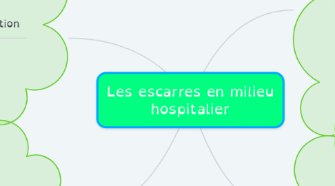 Mind Map: Les escarres en milieu hospitalier