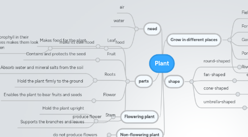 Mind Map: Plant