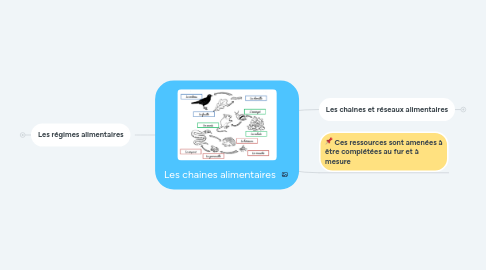 Mind Map: Les chaines alimentaires