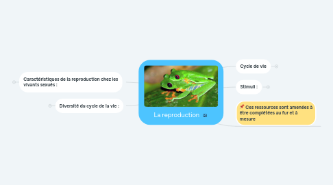 Mind Map: La reproduction