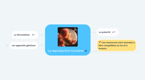 Mind Map: La reproduction humaine