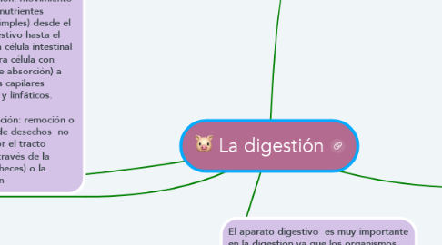 Mind Map: La digestión