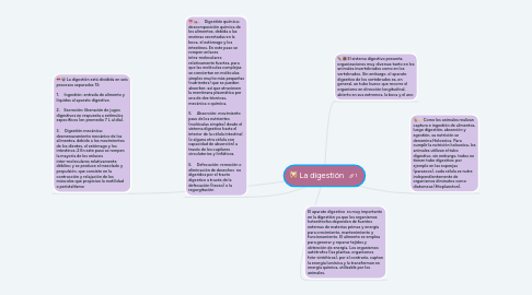 Mind Map: La digestión