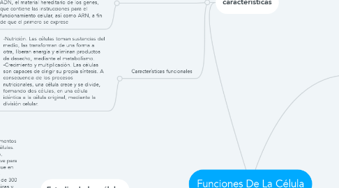 Mind Map: Funciones De La Célula