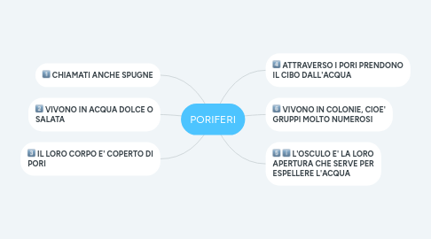 Mind Map: PORIFERI