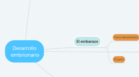 Mind Map: Desarrollo  embrionario