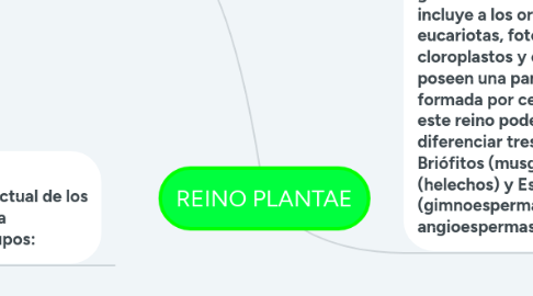 Mind Map: REINO PLANTAE