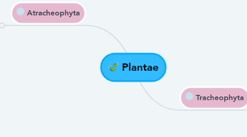 Mind Map: Plantae