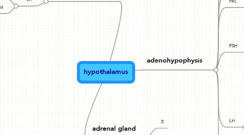 Mind Map: hypothalamus