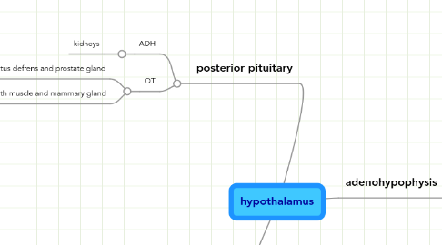 Mind Map: hypothalamus