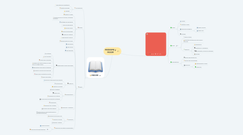 Mind Map: MEDESME y MOOM