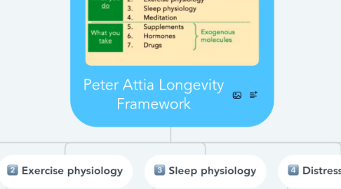 Mind Map: Peter Attia Longevity Framework