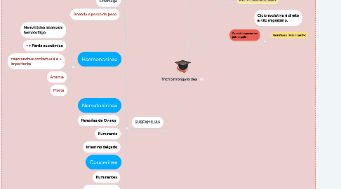 Mind Map: Trichostrongyloidea