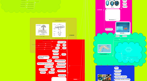 Mind Map: IL MONDO VIVENTE