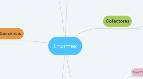 Mind Map: Enzimas