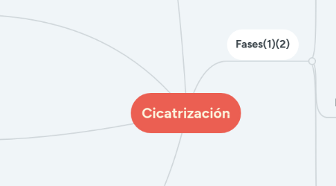 Mind Map: Cicatrización