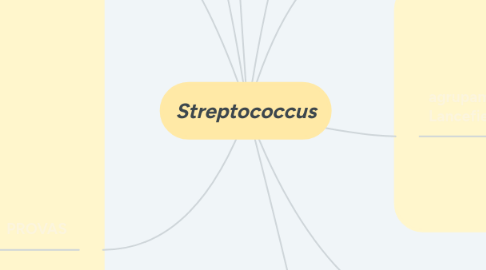 Mind Map: Streptococcus