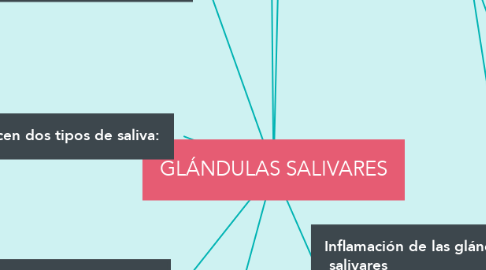 Mind Map: GLÁNDULAS SALIVARES