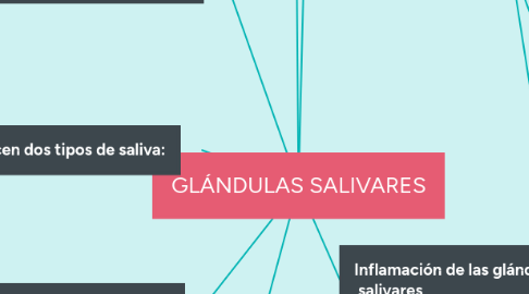 Mind Map: GLÁNDULAS SALIVARES