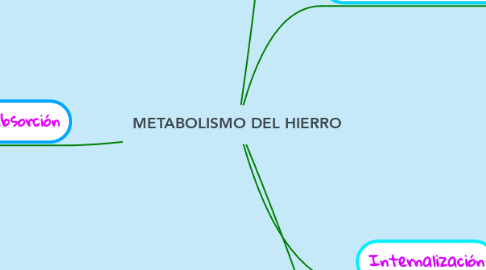 Mind Map: METABOLISMO DEL HIERRO