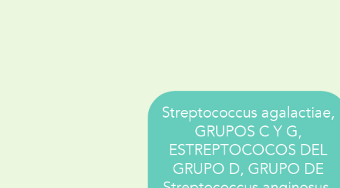 Mind Map: Streptococcus agalactiae, GRUPOS C Y G, ESTREPTOCOCOS DEL GRUPO D, GRUPO DE Streptococcus anginosus, Streptococcus viridans & PEPTOESTREPTOCOCOS