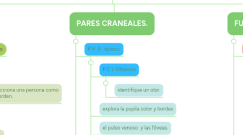 Mind Map: EXPLORACIÓN NEUROLÓGICA (1)