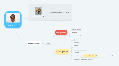 Mind Map: Alopecia