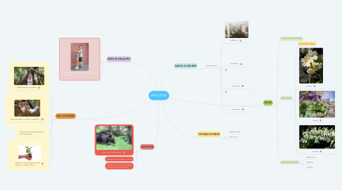 Mind Map: PROLJEĆE