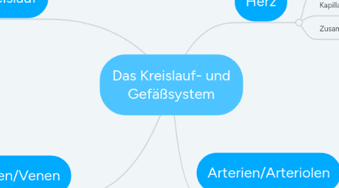 Mind Map: Das Kreislauf- und Gefäßsystem