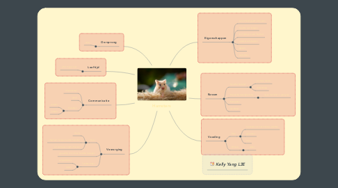 Mind Map: Hamsters