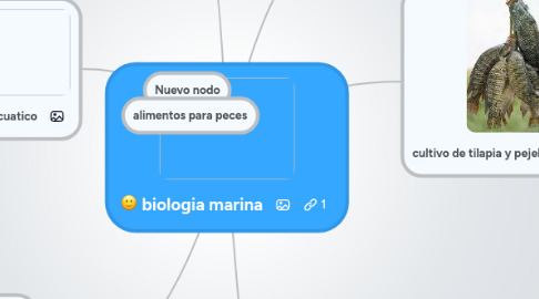 Mind Map: biologia marina