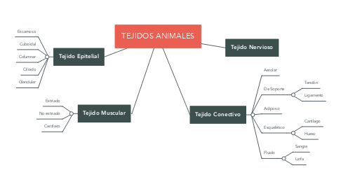 Mind Map: TEJIDOS ANIMALES