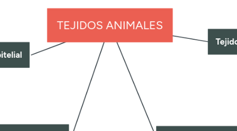 Mind Map: TEJIDOS ANIMALES