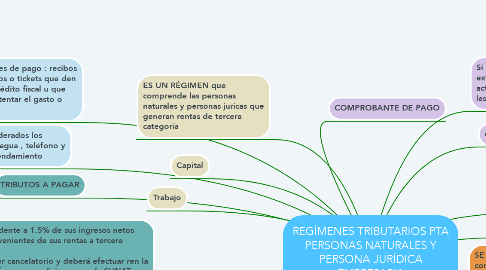 Mind Map: REGÍMENES TRIBUTARIOS PTA PERSONAS NATURALES Y PERSONA JURÍDICA EMPRESARIA