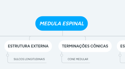 Mind Map: MEDULA ESPINAL