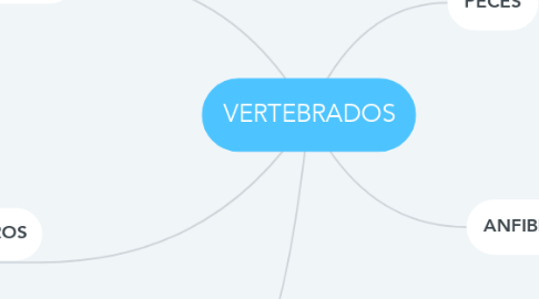 Mind Map: VERTEBRADOS