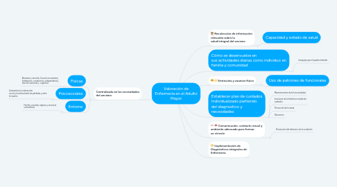 Mind Map: Valoración de Enfermería en el Adulto Mayor