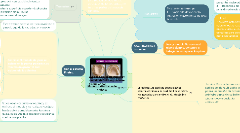 Mind Map: Modelo definitivo o de trabajo