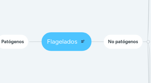 Mind Map: Flagelados