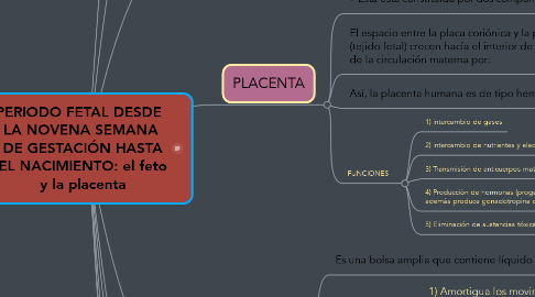 Mind Map: PERIODO FETAL DESDE  LA NOVENA SEMANA  DE GESTACIÓN HASTA  EL NACIMIENTO: el feto  y la placenta