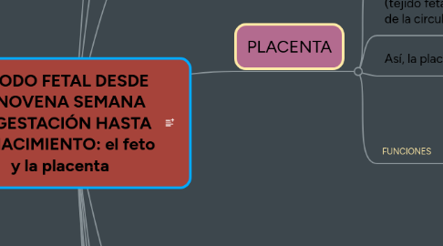 Mind Map: PERIODO FETAL DESDE LA NOVENA SEMANA DE GESTACIÓN HASTA EL NACIMIENTO: el feto y la placenta