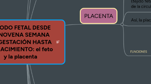 Mind Map: PERIODO FETAL DESDE  LA NOVENA SEMANA  DE GESTACIÓN HASTA  EL NACIMIENTO: el feto  y la placenta