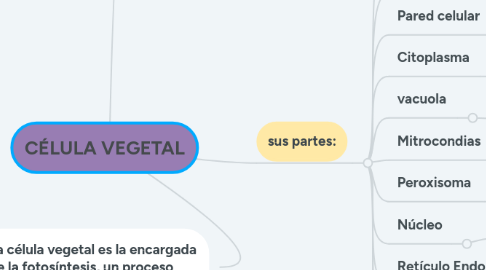 Mind Map: CÉLULA VEGETAL