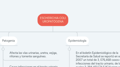 Mind Map: ESCHERICHIA COLI UROPATÓGENA