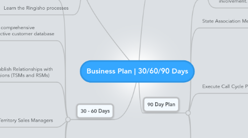 Mind Map: Business Plan | 30/60/90 Days