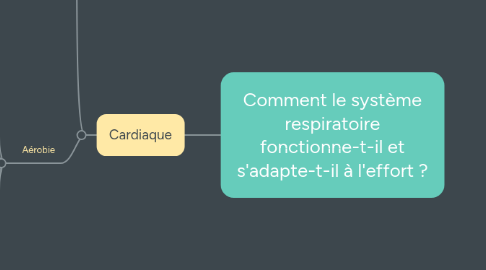 Mind Map: Comment le système respiratoire fonctionne-t-il et s'adapte-t-il à l'effort ?