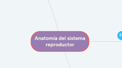 Mind Map: Anatomía del sistema reproductor