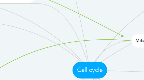 Mind Map: Cell cycle